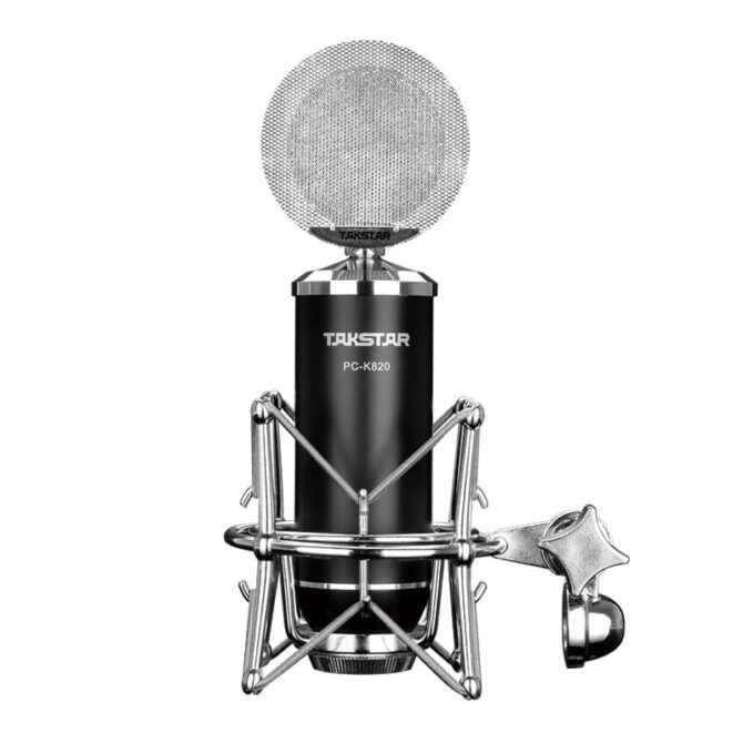 professional recording microphone