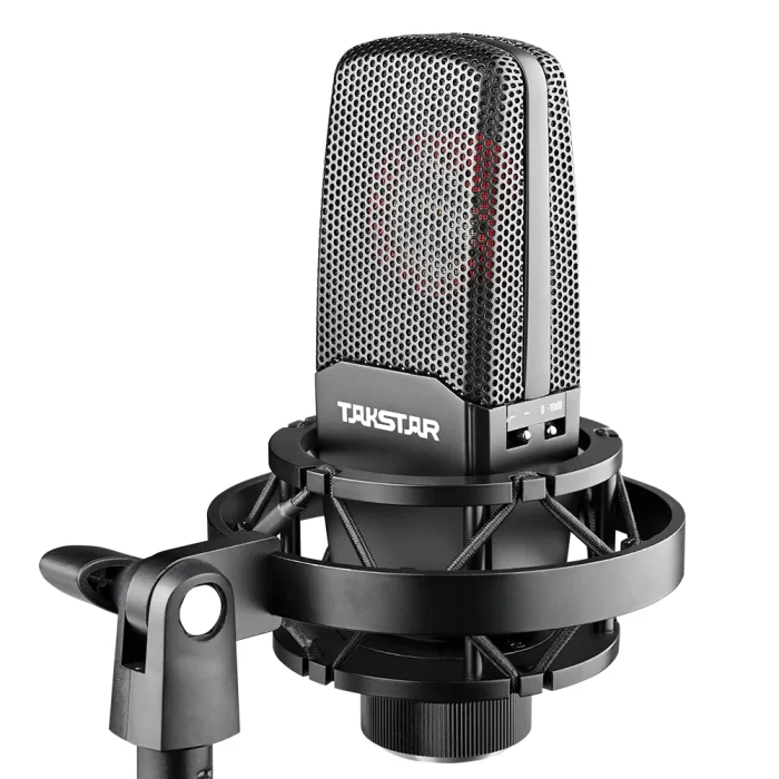 Professional Studio Large Diagraphm Condenser Microphone from the back side