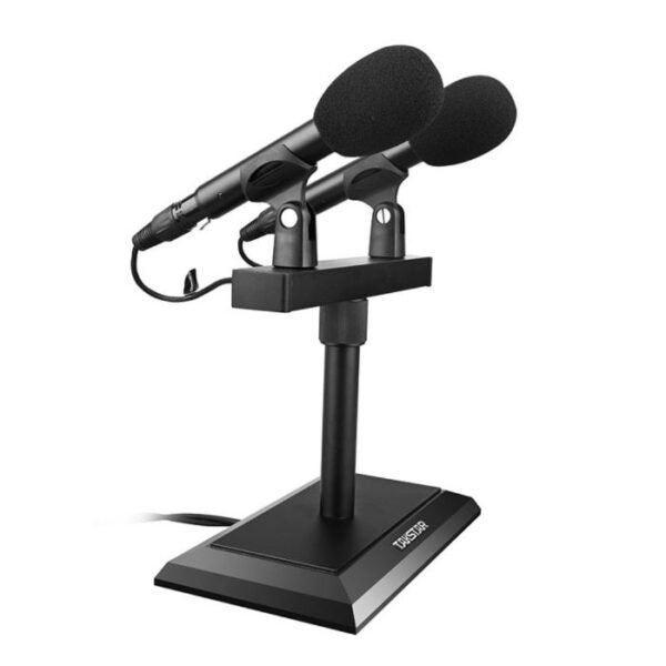 2 in 1 Takstar mics